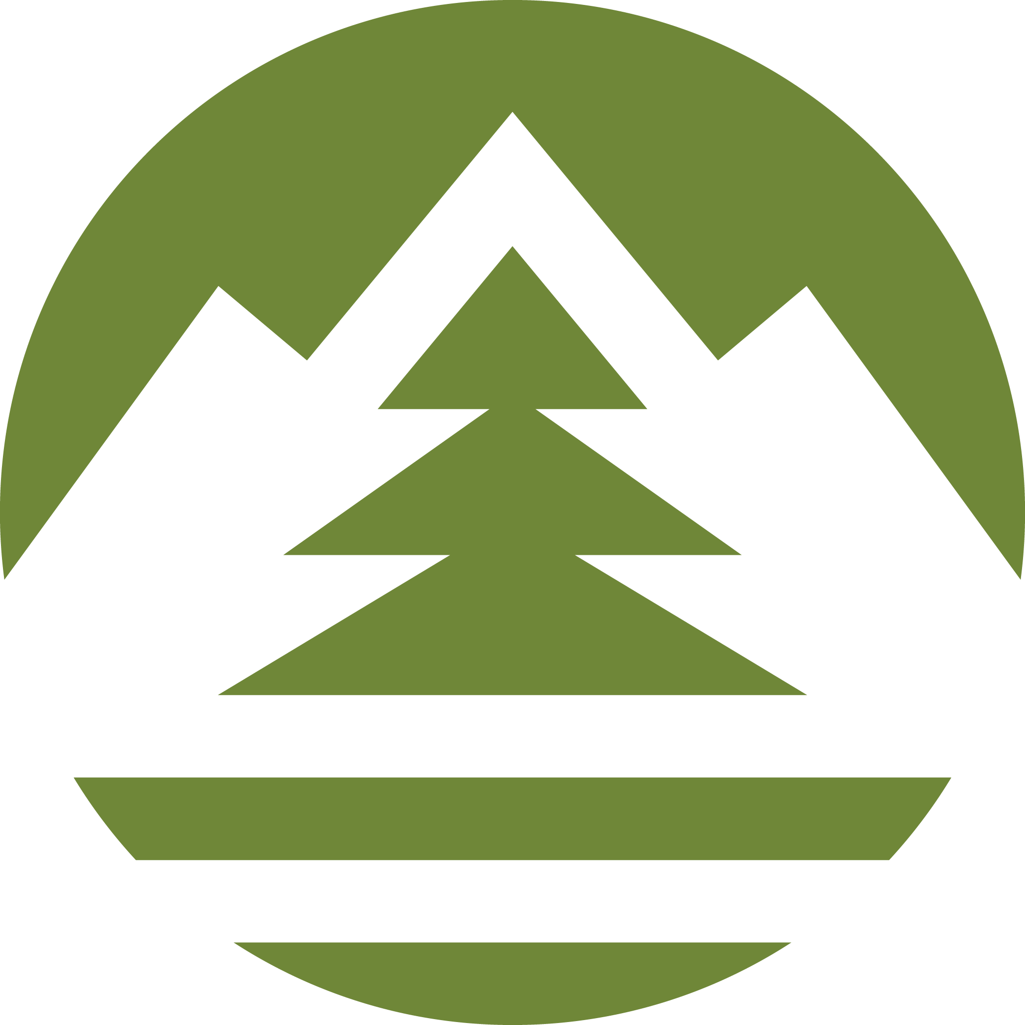 BHSSC 21st Century Logo_Buffalo Grass Icon-1